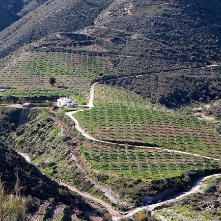 Cortijo El Rancho Villa Albanchez Bagian luar foto