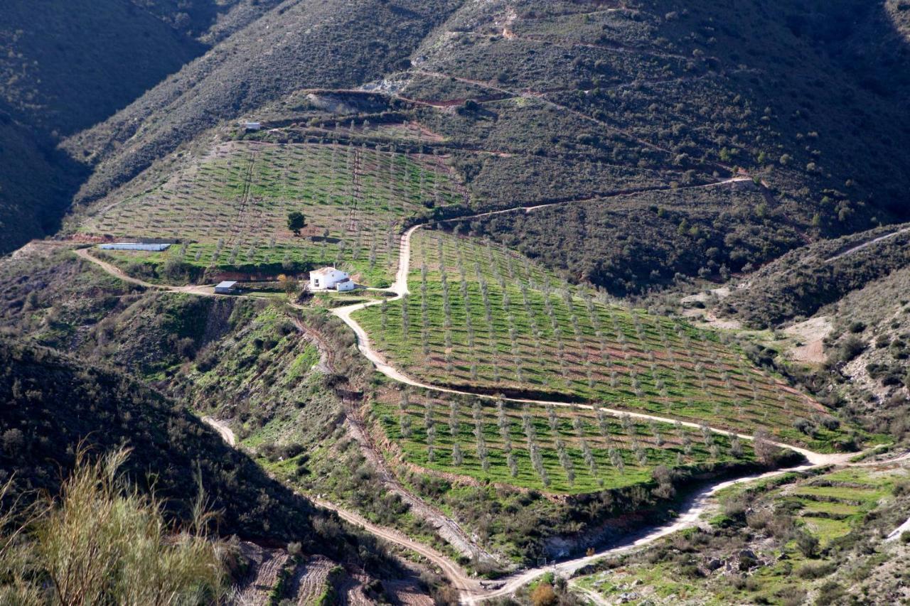 Cortijo El Rancho Villa Albanchez Bagian luar foto