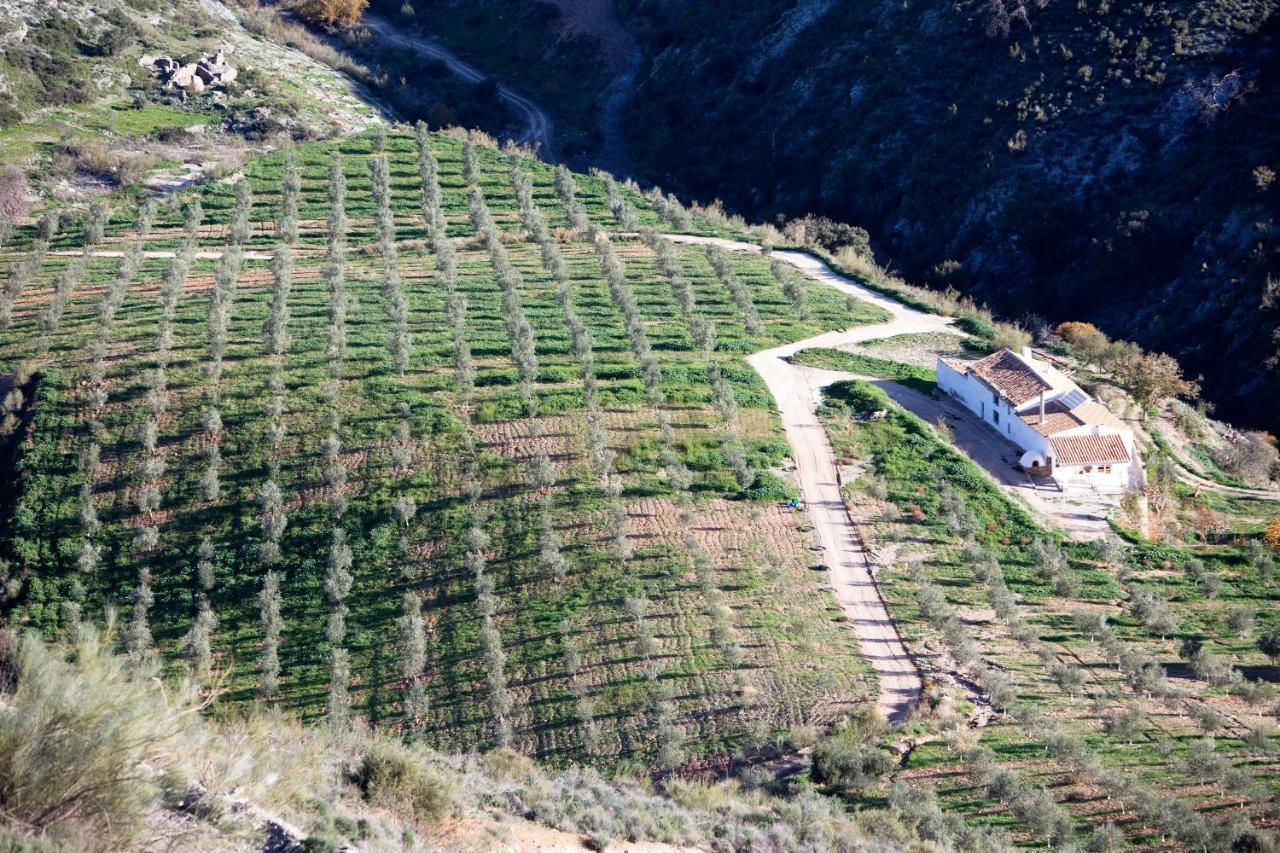 Cortijo El Rancho Villa Albanchez Bagian luar foto